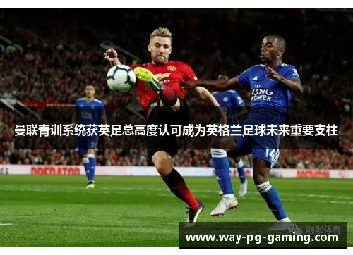 曼联青训系统获英足总高度认可成为英格兰足球未来重要支柱