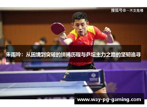 朱雨玲：从困境到突破的拼搏历程与乒坛主力之路的坚韧追寻