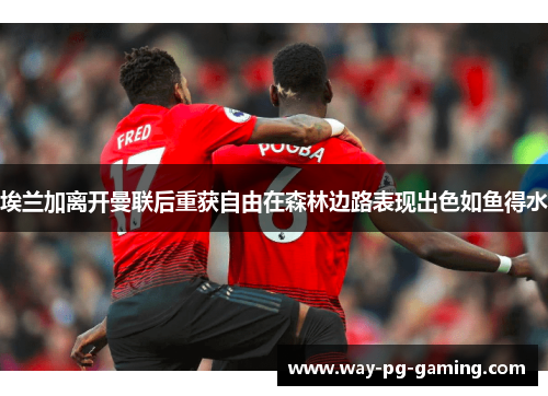 埃兰加离开曼联后重获自由在森林边路表现出色如鱼得水 埃兰加离开曼联后重获自由在森林边路表现出色如鱼得水